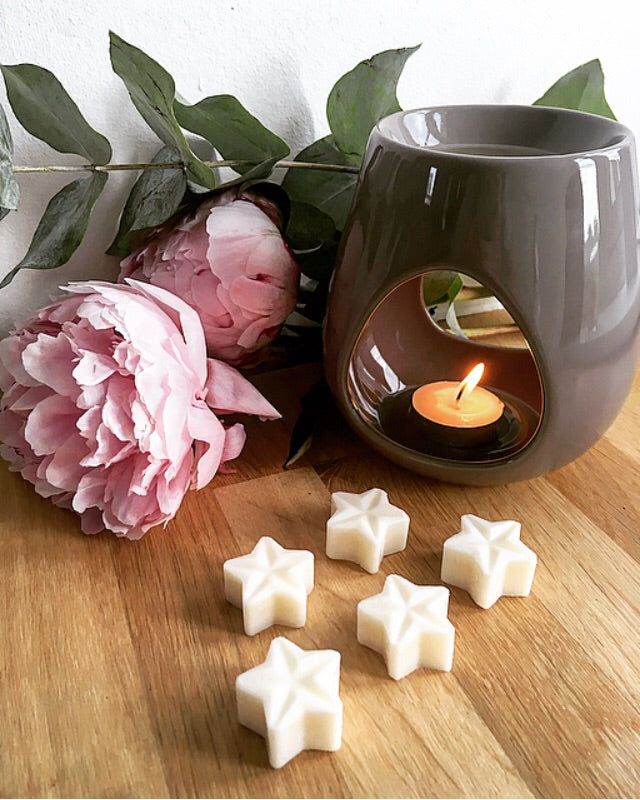 Sandalwood and Suede Wax Melt – Simply Aunt B